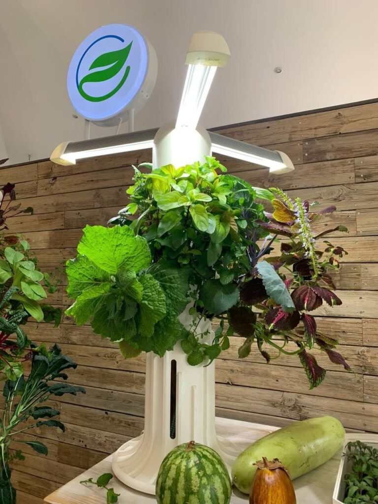 greenyTABLE greenyTABLE